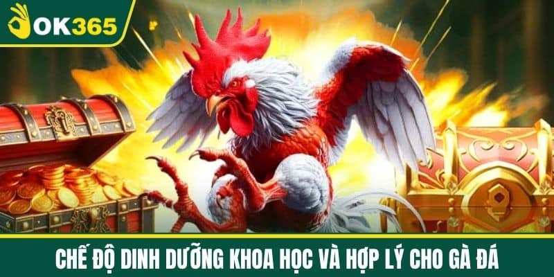 Chế độ dinh dưỡng khoa học và hợp lý cho gà đá