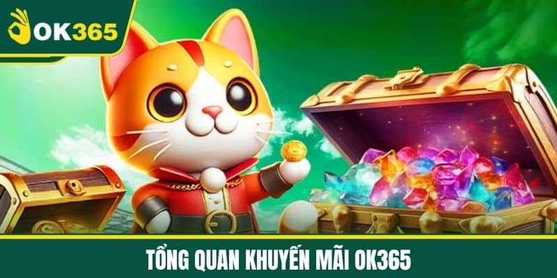 Tổng quan khuyến mãi OK365
