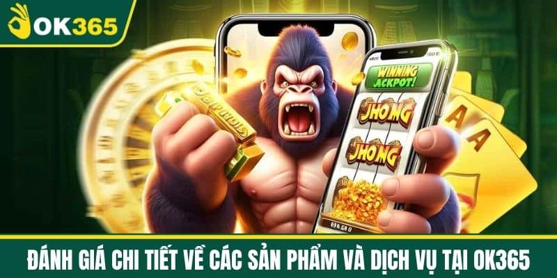 Đánh giá chi tiết về các sản phẩm và dịch vụ tại OK365