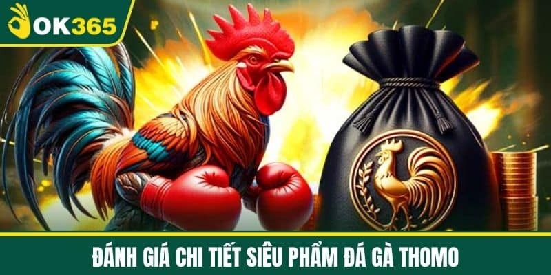 Đánh Giá Chi Tiết Siêu Phẩm Đá Gà Thomo