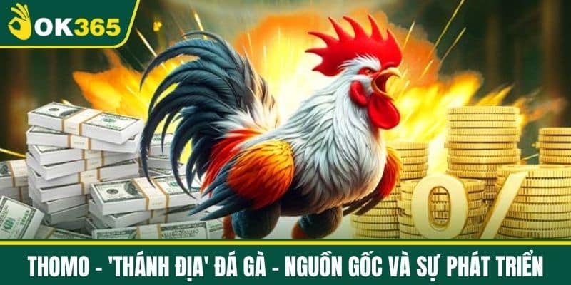 Thomo - 'Thánh Địa' Đá Gà - Nguồn Gốc và Sự Phát Triển