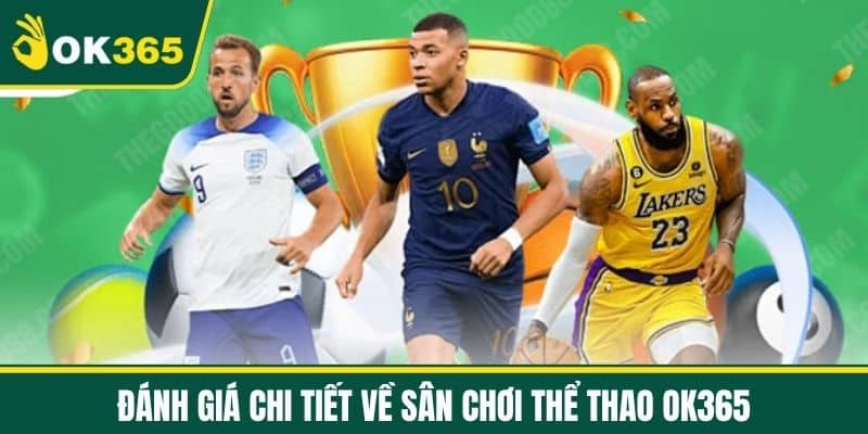 Đánh Giá Chi Tiết Về Sân Chơi Thể Thao OK365
